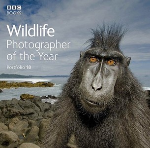 Wildlife Photographer of the Year Portfolio 18 di Rosamund Kidman Cox edito da Ebury Publishing