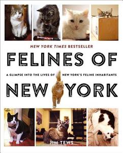 Felines of New York: A Glimpse Into the Lives of New York's Feline Inhabitants di Jim Tews edito da SIMON & SCHUSTER