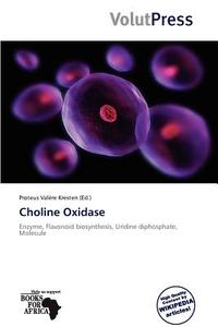 Choline Oxidase edito da Volutpress