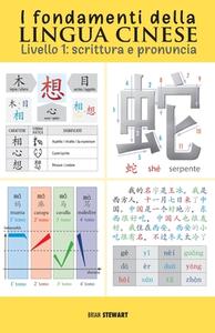 I fondamenti della lingua cinese di Brian Stewart edito da Discovery Publisher