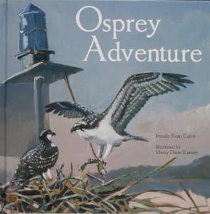 Osprey Adventure di Jennifer Keats Curtis edito da TIDEWATER PUBL