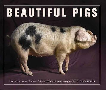 Beautiful Pigs: Potraits of Fine Breeds di Andy Case edito da Griffin