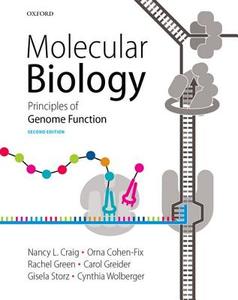 Molecular Biology: Principles of Genome Function di Nancy Craig, Rachel Green, Carol Greider edito da OXFORD UNIV PR