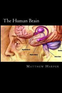 The Human Brain: A Fascinating Book Containing Human Brain Facts, Trivia, Images & Memory Recall Quiz: Suitable for Adults & Children di Matthew Harper edito da Createspace