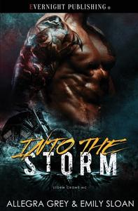 Into The Storm di Emily Sloan, Allegra Grey edito da Evernight Publishing