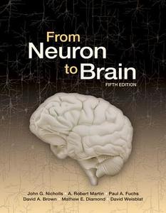 From Neuron to Brain di John Nicholls edito da Oxford University Press