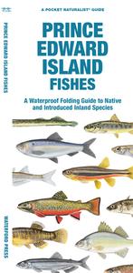 Prince Edward Island Fishes: A Waterproof Folding Guide to Familiar Species di Waterford Press, Matthew Morris edito da WATERFORD PR