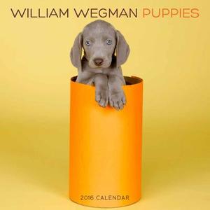 William Wegman Puppies di William Wegman edito da Abrams