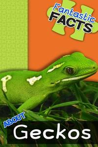 Fantastic Facts about Geckos: Illustrated Fun Learning for Kids di Miles Merchant edito da Createspace