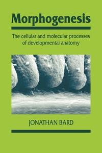 Morphogenesis di Jonathan B. L. Bard, Bard Jonathan edito da Cambridge University Press