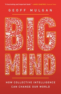 Big Mind di Geoff Mulgan edito da Princeton Univers. Press