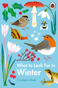 What To Look For In Winter di Elizabeth Jenner edito da Penguin Books Ltd