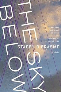 The Sky Below di Stacey D'Erasmo edito da MARINER BOOKS