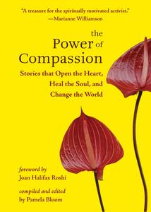 The Power of Compassion: Stories That Open the Heart, Heal the Soul, and Change the World edito da HAMPTON ROADS PUB CO INC