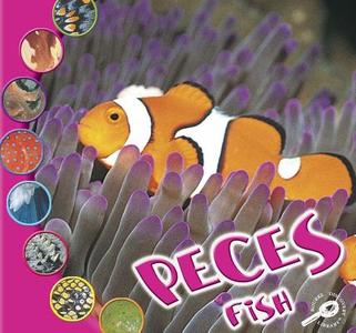 Los Peces (Fish) di Ted Ohare edito da Rourke Publishing (FL)
