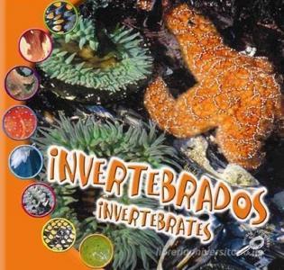 Invertebrados (Invertebrates) di Ted Ohare edito da Rourke Publishing (FL)