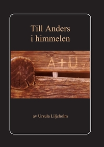 Till Anders i himmelen di Ursula Liljeholm edito da Books on Demand