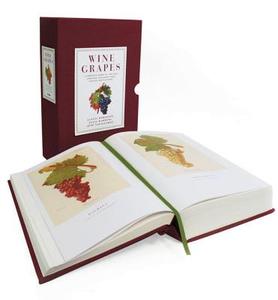 Wine Grapes di Jancis Robinson, Julia Harding, Jose Vouillamoz edito da Harper Collins Publ. USA