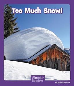 Too Much Snow di Layne Demarin edito da WONDER READERS
