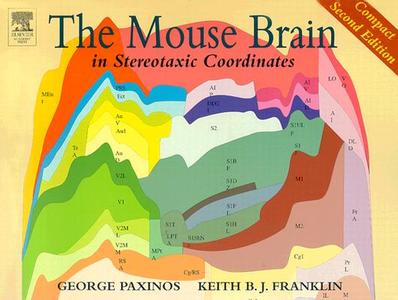 The Mouse Brain in Stereotaxic Coordinates di George Paxinos, Keith B. J.  Franklin edito da Academic Press