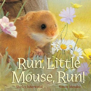 Run, Little Mouse, Run! di Shirley Isherwood edito da Little Tiger Press Group