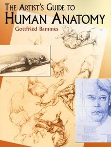 The Artist's Guide to Human Anatomy di Gottfried Bammes edito da Dover Publications Inc.