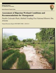 Assessment of Riparian-Wetland Conditions and Recommendations for Management: Pueblo Colorado Wash, Hubbell Trading Post National Historic Site, Arizo di Joel Wagner, Richard Inglis edito da Createspace