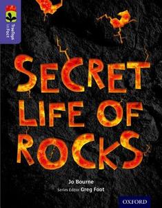 Oxford Reading Tree TreeTops inFact: Level 11: Secret Life of Rocks di Jo Bourne edito da Oxford University Press