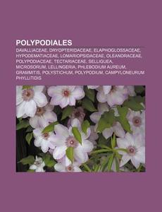 Polypodiales: Dryopteridaceae, Elaphoglo di Books Llc edito da Books LLC, Wiki Series