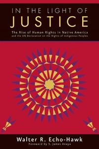 In the Light of Justice: The Rise of Human Rights in Native America and the Un Declaration on the Rights of Indigenous P di Walter R. Echo-Hawk, Anaya S. James edito da FULCRUM PUB
