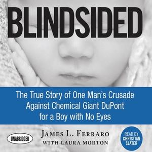 Blindsided: The True Story of One Man's Crusade Against Chemical Giant DuPont for a Boy with No Eyes di James L. Ferraro edito da Gildan Media Corporation