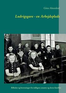 Ludvigsgave - en Arbejdsplads di Gitte Ahrenkiel edito da Books on Demand