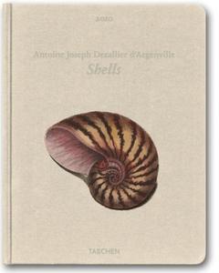 Shells edito da Taschen