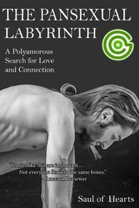 The Pansexual Labyrinth: A Polyamorous Search for Love and Connection di Saul Of-Hearts edito da Createspace