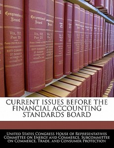 Current Issues Before The Financial Accounting Standards Board edito da Bibliogov