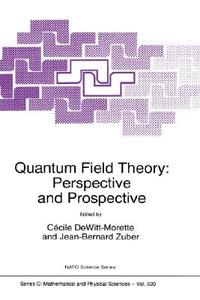 Quantum Field Theory: Perspective and Prospective edito da Springer Netherlands