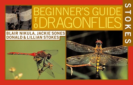Stokes Beginner's Guide to Dragonflies di Blair Nikula, Jackie Sones, Donald Stokes edito da LITTLE BROWN & CO