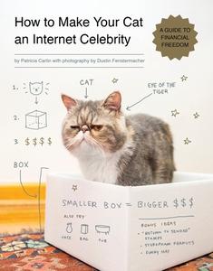 How To Make Your Cat An Internet Celebrity di Patricia Carlin edito da Quirk Books