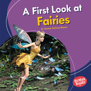 A First Look at Fairies di Emma Carlson-Berne edito da LERNER PUBN