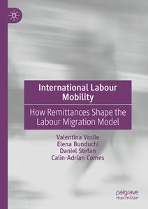 International Labour Mobility di Valentina Vasile, Elena Bunduchi, Daniel Stefan, Calin-Adrian Comes edito da Springer International Publishing AG