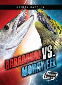 Barracuda vs. Moray Eel di Kieran Downs edito da TORQUE