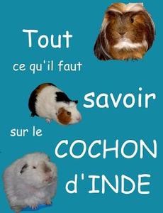 Tout Ce Qu'il Faut Savoir Sur Le Cochon D'inde di Mirabelle C Vomscheid edito da Books On Demand