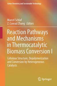 Reaction Pathways and Mechanisms in Thermocatalytic Biomass Conversion I edito da Springer-Verlag GmbH