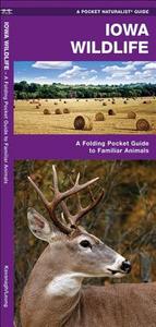 Iowa Wildlife: A Folding Pocket Guide to Familiar Species di James Kavanagh, J. M. Kavanagh edito da Waterford Press