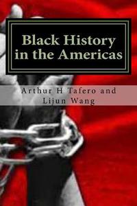 Black History in the Americas: Lesson Plans for the Black Experience di Arthur H. Tafero, Lijun Wang edito da Createspace