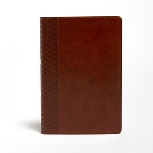 Kjv Everyday Study Bible, British Tan Leathertouch di CSB Bibles by Holman CSB Bibles by Holman edito da Lifeway Christian Resources