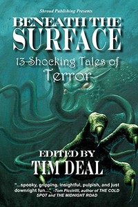 13+ Shocking Tales Of Terror di Scott C. Carr, Angeline Hawkes edito da Shroud Publishing LLC