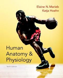 Human Anatomy & Physiology, Books a la Carte Edition di Elaine Nicpon Marieb, Katja Hoehn edito da Pearson