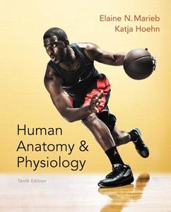 Human Anatomy & Physiology di Elaine N. Marieb, Katja Hoehn edito da Pearson Education (us)