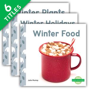 Seasons: Winter Wonder! (Set) di Julie Murray edito da ABDO KIDS